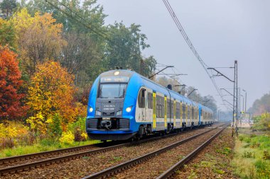 Katowice, Polonya - 2018 Sonbaharı: Yeni PESA 22WE yolcu elektrikli treni banliyö yolunu izliyor. Arka planda sarı yapraklı ağaçlar. Polonya Demiryolu