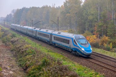 Varşova, Polonya - 2020 Sonbaharı: Uluslararası Yolcu Elektrikli Treni Pendolino ED250 sonbahar yapraklarının arka planında demiryolu ile seyahat ediyor. Polonya Demiryolu