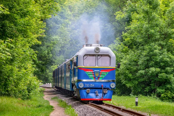 Kharkiv, Ukrayna - 2021 Yazı: Renkli dar kalibreli bir dizel lokomotif TU2, şehir parkı boyunca uzanan demiryolu rayları boyunca bir yolcu trenini çekiyor.