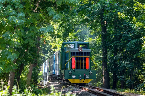 우크라이나 하르키우 Kharkiv 2021 열차가 꼭대기를 통과하는 철도를 운행하는 녹색좁은 — 스톡 사진