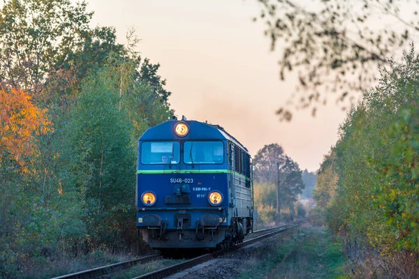 Zgorzelec Lengyelország 2019 Ősz Egy Magányos Kék Su46 Dízelmozdony Halad — Stock Fotó