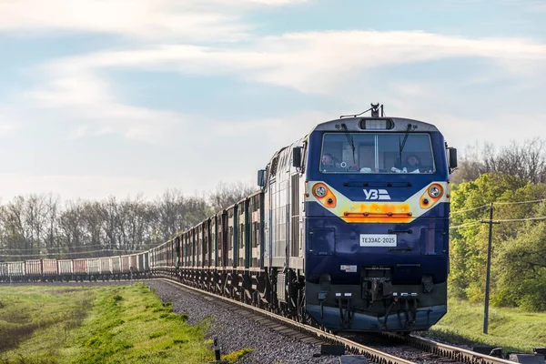 Mariupol, Ukrayna - 2021 Yazı: Güçlü mavi bir TE33 dizel lokomotifi metal ürünleri yüklü vagonları çekiyor. Ukrayna Demiryolu