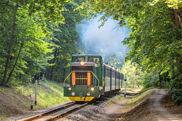 Kharkiv, Ukrayna - 2021 Yazı: Bir trenin yoğun ağaçların arasından demiryolu hattı boyunca seyahat ettiği yeşil dar çaplı dizel bir lokomotif TU7. Yolcu Taşımacılığı.