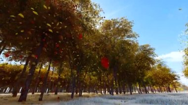 Sonbaharda ağaçlardan düşen yapraklar