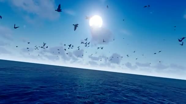 Morning Sea Sunrise Seagulls Fly Freely — Vídeos de Stock