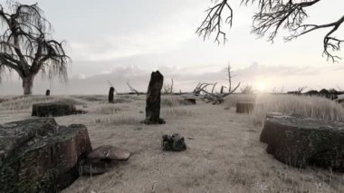 Deforestation and vegetation damage desertification landscape
