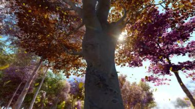 Sonbaharda koruluktan düşen yapraklar.