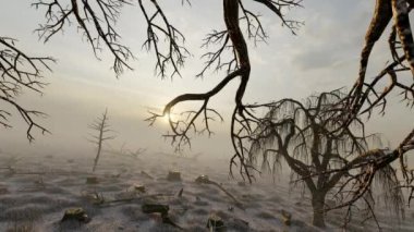 Deforested forests and trees