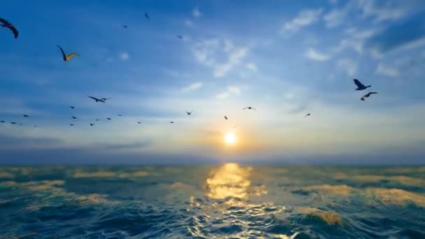 Flock Seabirds Flying Sea — стоковое видео