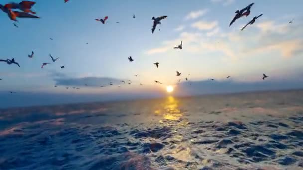 Flock Sjöfåglar Flyger Havet — Stockvideo