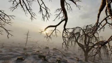 Deforested forests and trees