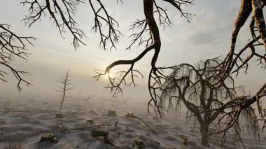 Deforested forests and trees