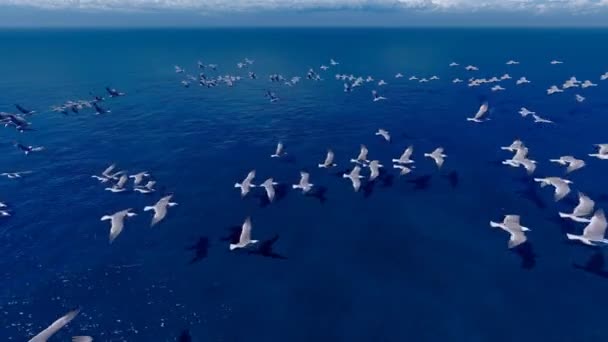 Flock Seagulls Hovered Sea — Vídeos de Stock