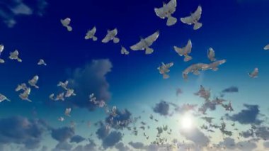 Bir güvercin sürüsü gökyüzünde uçtu.