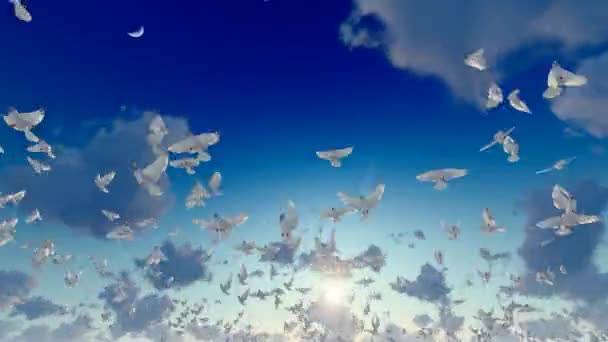Flock Pigeons Flew Sky — Stockvideo