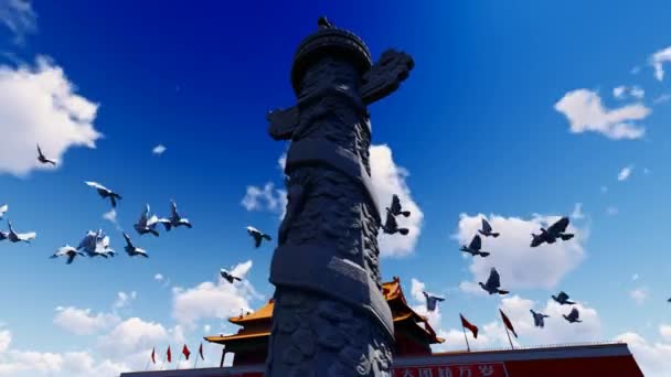 Pigeons Fly Huabiao Tiananmen Square — Video Stock