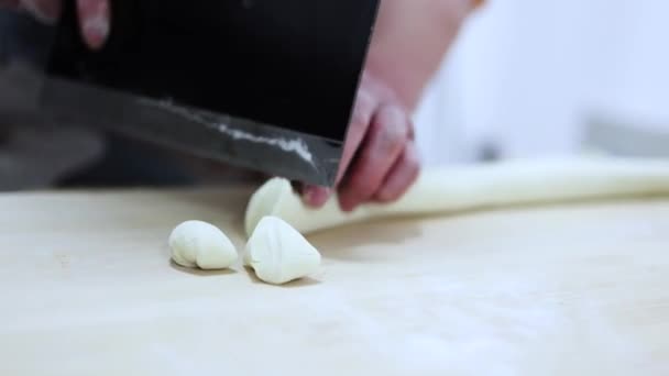 Cut Dumpling Stuffing Make Dumplings — Stock Video