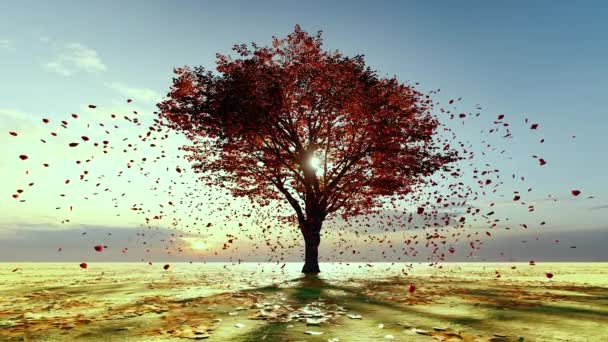 秋の葉は風と共にゆっくりと落ちる — ストック動画