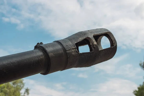 公園の空に対して大砲の銃口を閉じる ウクライナ共和国キエフ — ストック写真