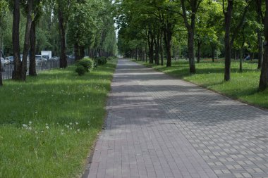 Ukrayna, Kiev - Parktaki güzel bisiklet yolu