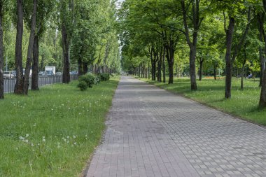 Ukrayna, Kiev - Parktaki güzel bisiklet yolu