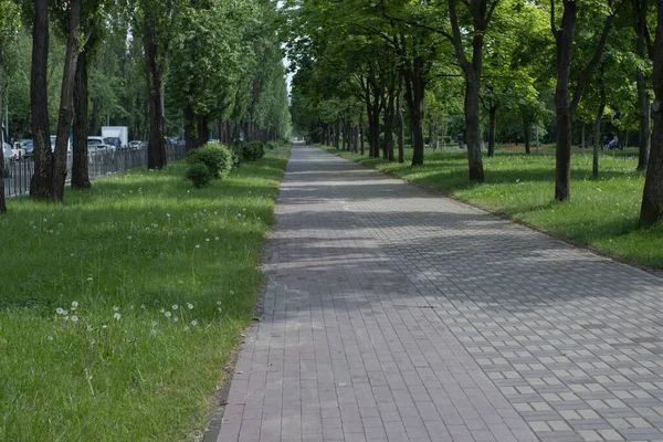 Ukrayna, Kiev - Parktaki güzel bisiklet yolu