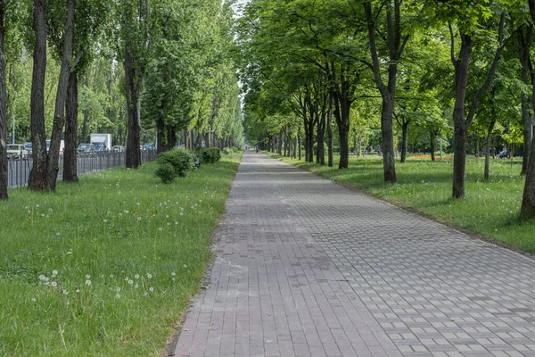 Ukrayna, Kiev - Parktaki güzel bisiklet yolu