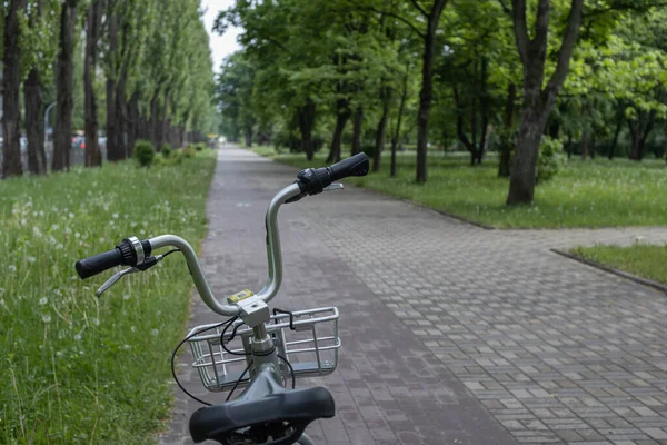 Ukrayna, Kiev - Parktaki güzel bisiklet yolu