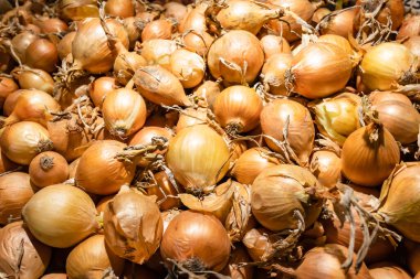 Markette, süpermarkette, markette kırmızı soğanlı kutular.