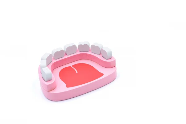 Drewniany Model Zabawki Ludzkiej Szczęki Białym Tłem Problem Utraty Zębów — Zdjęcie stockowe