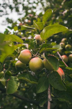 yüksek bilding aynada temizlik işçisi