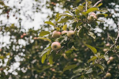 yüksek bilding aynada temizlik işçisi