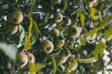 yüksek bilding aynada temizlik işçisi