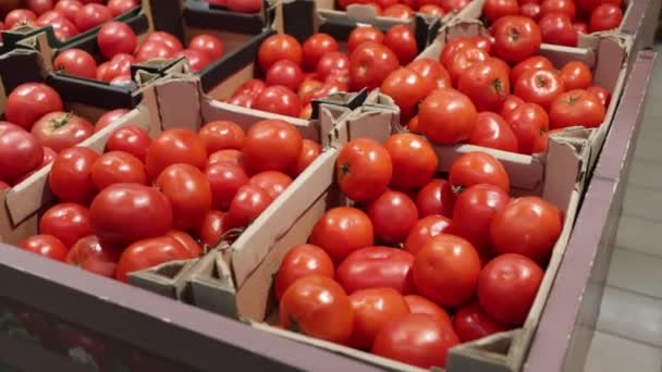 Lot Red Tomatoes Boxes Tomato Video — Vídeos de Stock