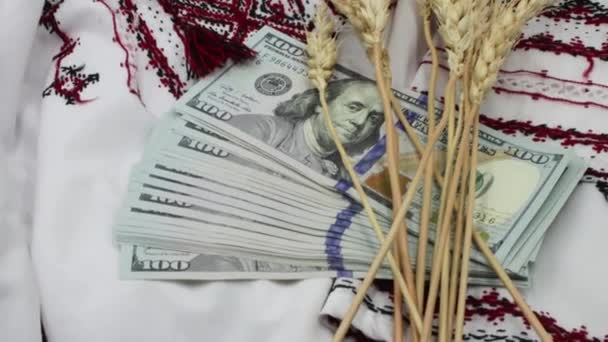 Spikelets Wheat Background Dollars Banknotes National Clothes Blockade Export Ukrainian — Stockvideo