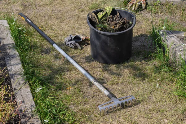 Rake on the ground in the garden. Garden cleaning. Garden tools.