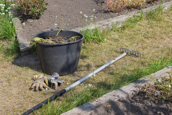 Rake on the ground in the garden. Garden cleaning. Garden tools.