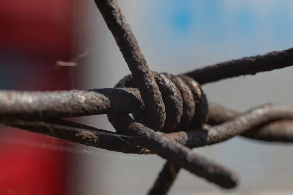 Barbed wire - abstract macro, shallow depth of field. Close-up barbed wire