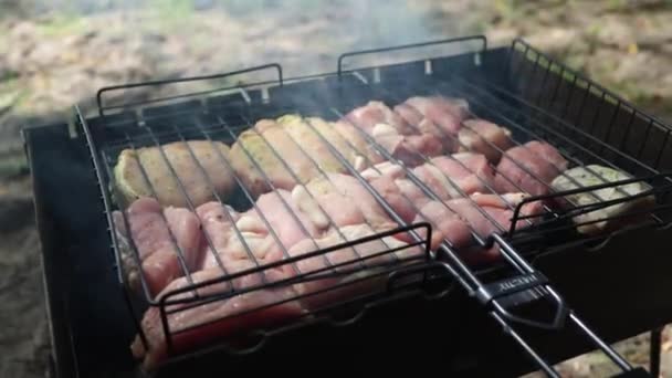 Meat Grill Close Barbecue Forest — Αρχείο Βίντεο