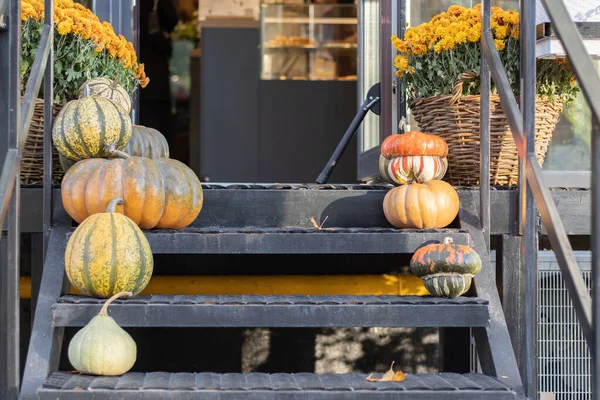 Preparing for Halloween. Halloween house decoration. Orange halloween pumpkins