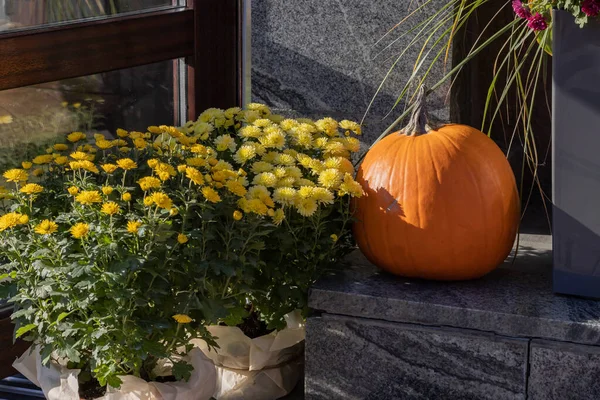 Preparing for Halloween. Halloween house decoration. Orange halloween pumpkins.