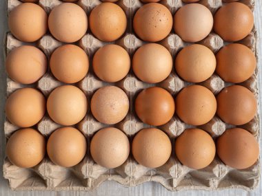 Yumurta tepsisindeki tavuk yumurtalarının üst görüntüsü..