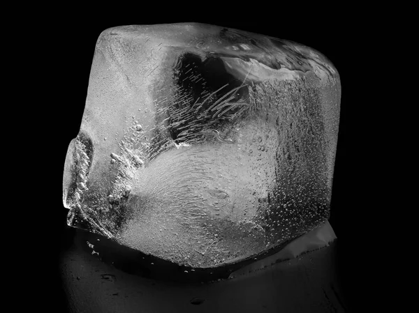 Melting Ice Cubes Isolated Black Reflective Surface Background Ice Cubes — Stock Photo, Image