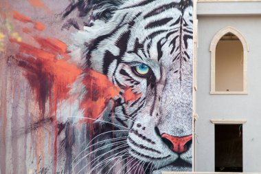 Antik duvardaki Bengal kaplanının modern grafiti çizimleri.