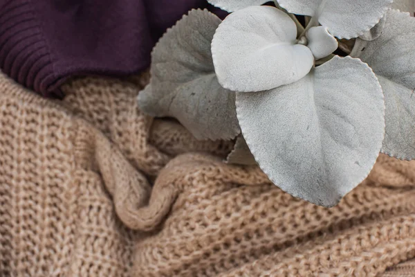 Bir çerçevede farklı dokuların birleşimi. Örgü süveter ve çiçek.