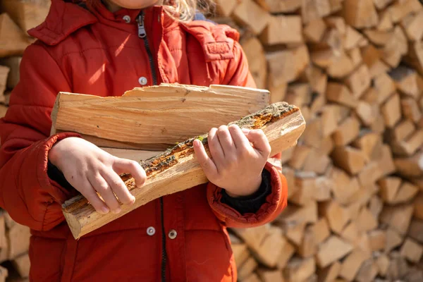 Little girl holds firewood with her hand. Pile of stacked firewood prepared for heating the house. Collecting firewood for the winter or fire — Stok Foto