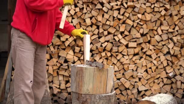 Young man chopping wood with steel axe, country landscape with lumberjack — Stockvideo