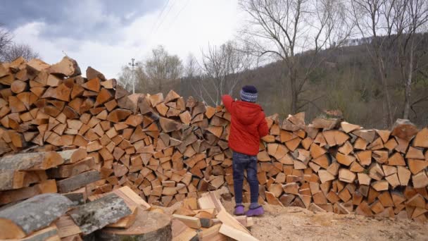 Cute little girl in a red jacket stacks firewood outdoors. Child helps with the chore of stacking firewood. — Stockvideo