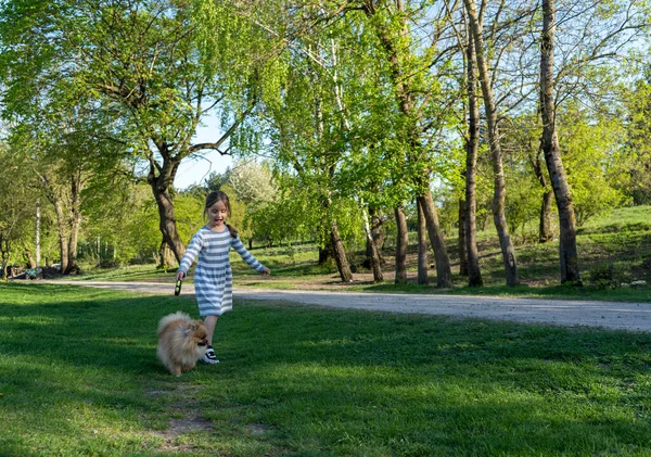 Gadis kecil yang cantik berjalan di jalan dengan anjingnya pada hari musim semi — Stok Foto