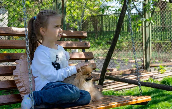 Şaşkın küçük kız baharda salıncakta oturur ve küçük köpeğini okşar.